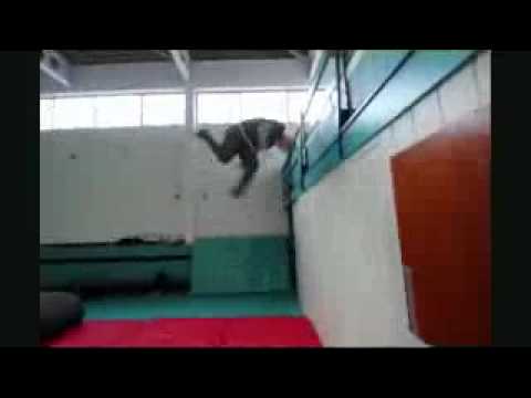 Damien Walters  2010 (����� ���)