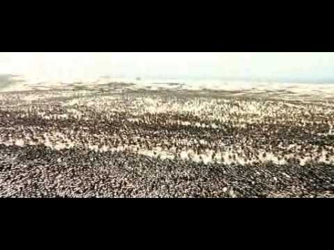 Troy - Blind Guardian - Battlefield