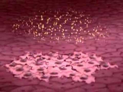 Video Journey Into Nanotechnology