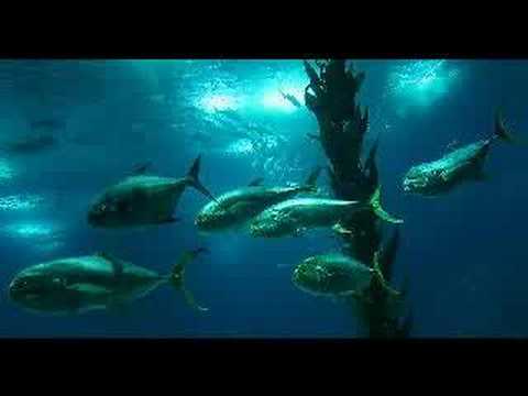 Dj Tiesto - Elements of Life - Trance - Dj Tiesto - Elements of Life - Trance -