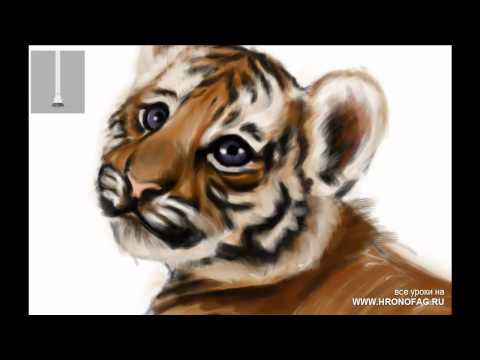 Speed painting - Tiger