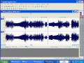 Sound Forge Pro 10. ����������